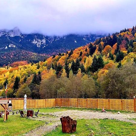 Aroa Mountain 4 Villa Zărneşti Buitenkant foto