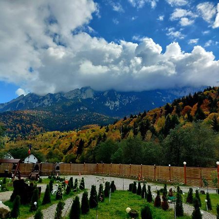 Aroa Mountain 4 Villa Zărneşti Buitenkant foto
