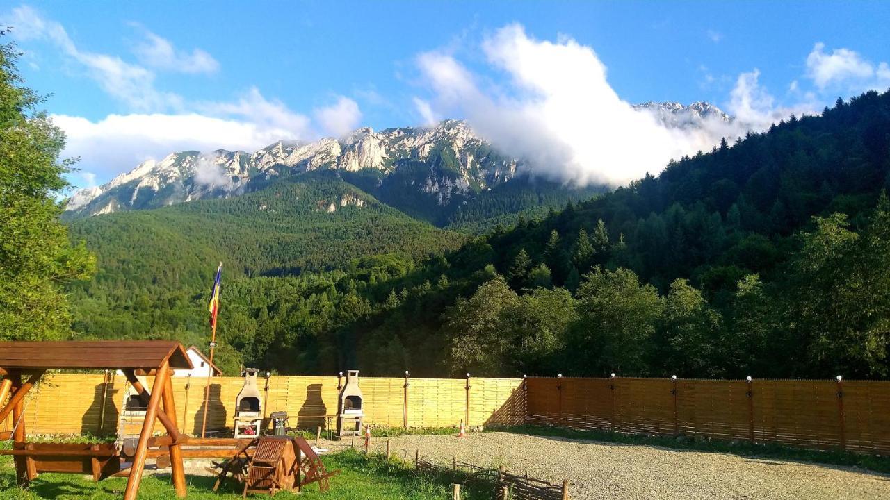 Aroa Mountain 4 Villa Zărneşti Buitenkant foto