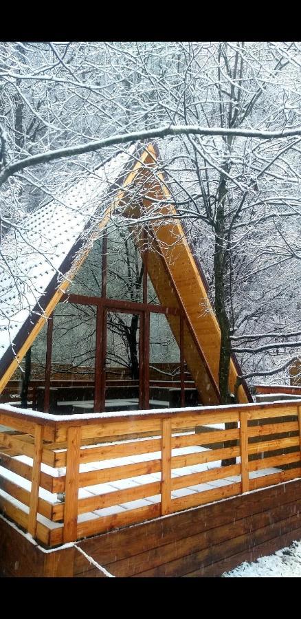 Aroa Mountain 4 Villa Zărneşti Buitenkant foto