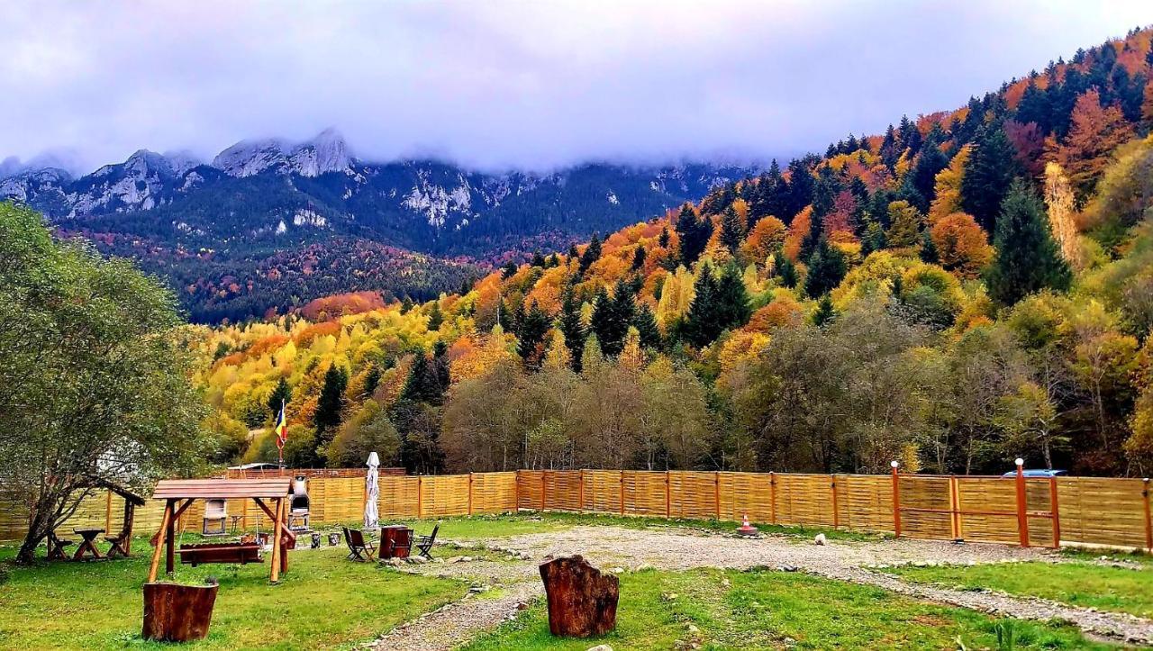 Aroa Mountain 4 Villa Zărneşti Buitenkant foto