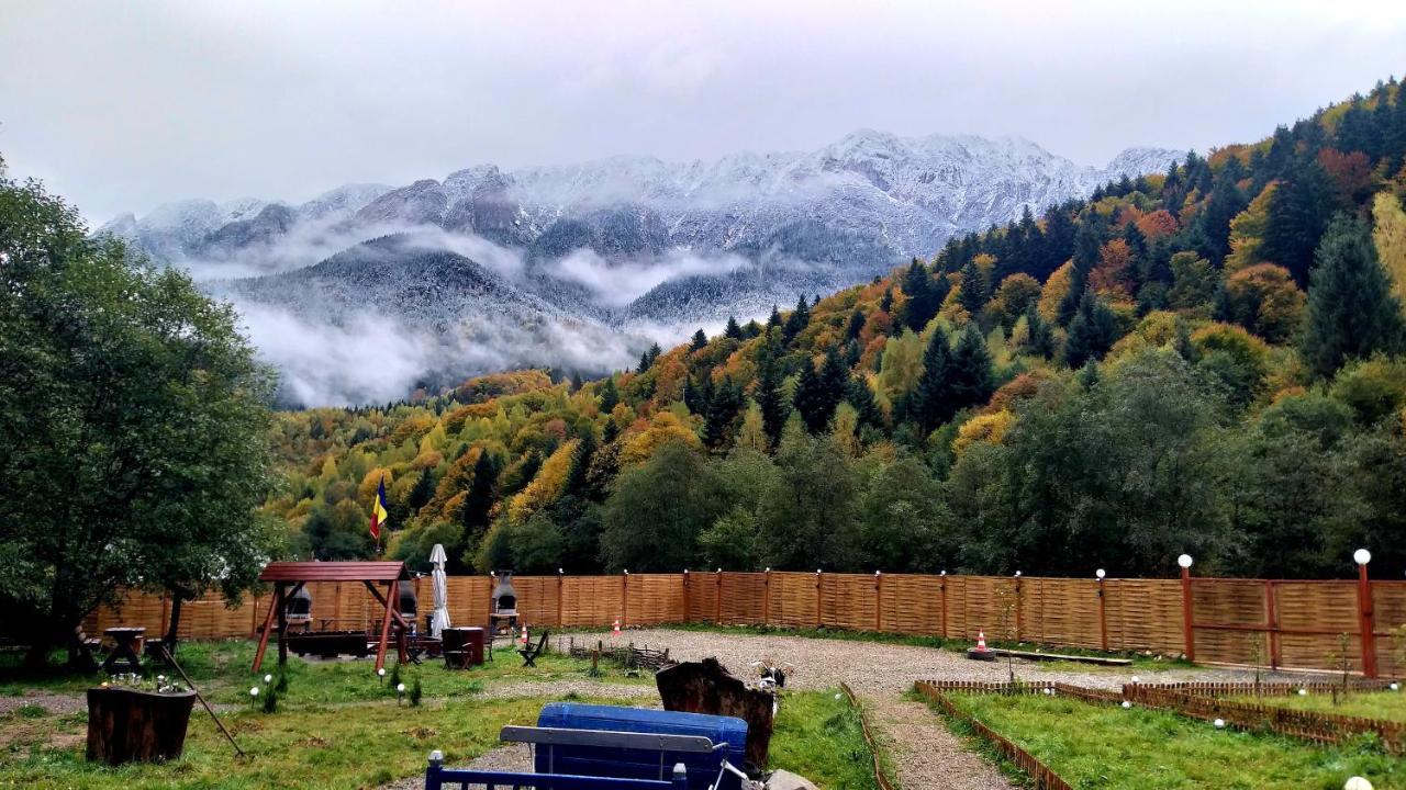 Aroa Mountain 4 Villa Zărneşti Buitenkant foto