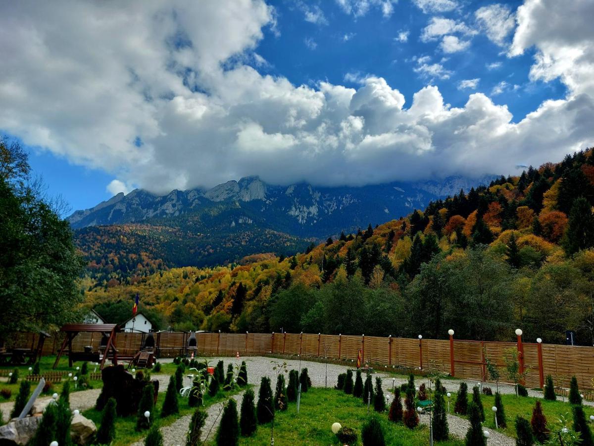 Aroa Mountain 4 Villa Zărneşti Buitenkant foto