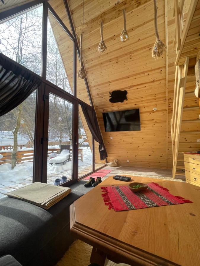 Aroa Mountain 4 Villa Zărneşti Buitenkant foto